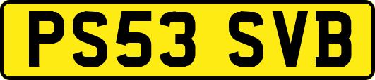 PS53SVB