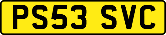 PS53SVC