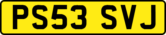 PS53SVJ