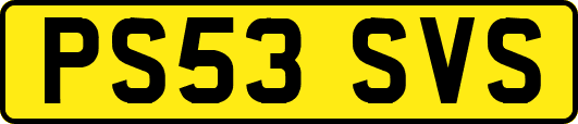 PS53SVS