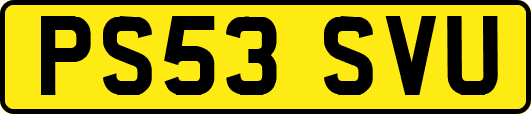 PS53SVU
