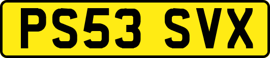 PS53SVX