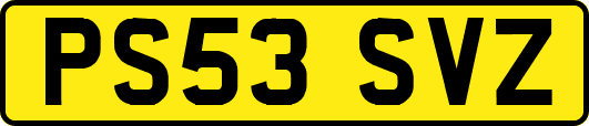 PS53SVZ