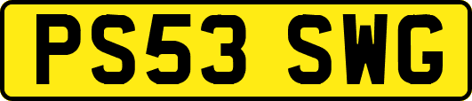 PS53SWG