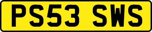 PS53SWS