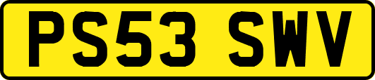 PS53SWV