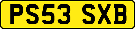 PS53SXB