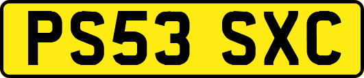 PS53SXC