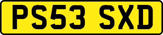 PS53SXD