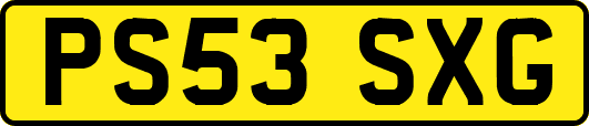 PS53SXG