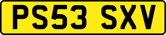 PS53SXV
