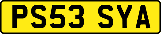 PS53SYA