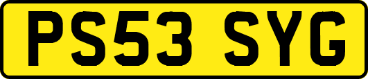 PS53SYG