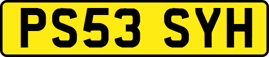 PS53SYH