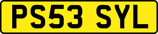 PS53SYL