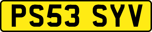 PS53SYV
