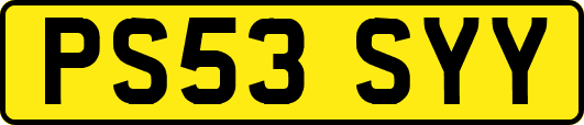 PS53SYY