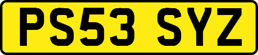PS53SYZ