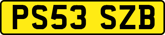 PS53SZB