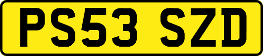 PS53SZD