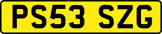 PS53SZG