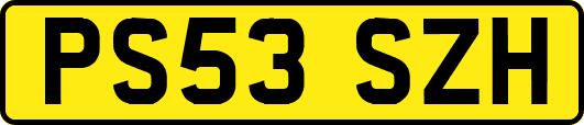 PS53SZH