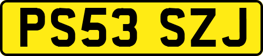 PS53SZJ
