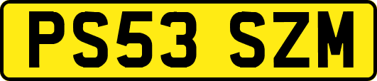 PS53SZM