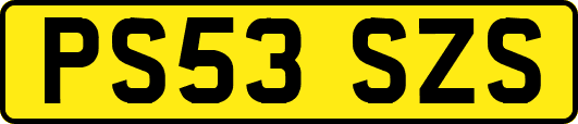 PS53SZS