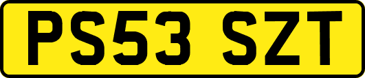 PS53SZT