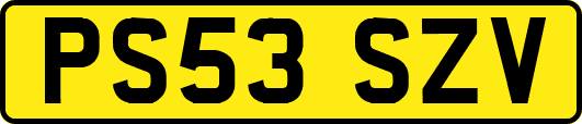 PS53SZV