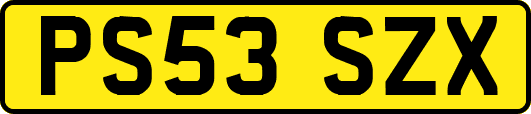 PS53SZX