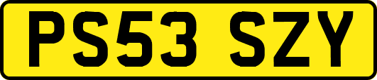 PS53SZY