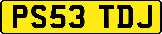 PS53TDJ