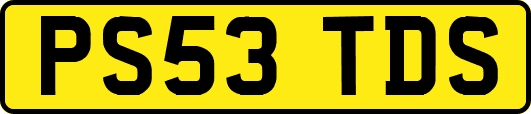 PS53TDS