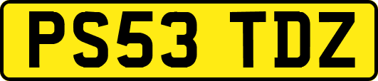 PS53TDZ