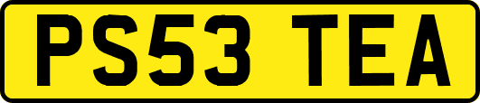 PS53TEA