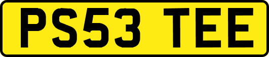 PS53TEE