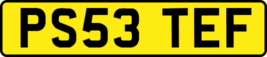 PS53TEF