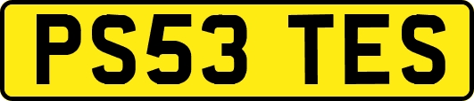 PS53TES