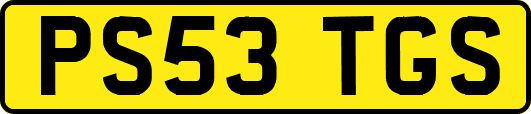 PS53TGS