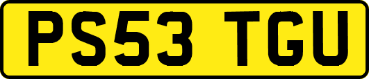 PS53TGU