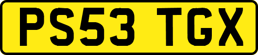 PS53TGX