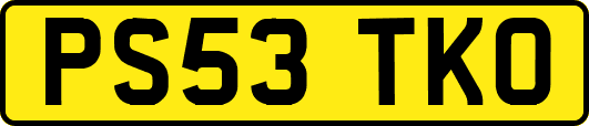 PS53TKO