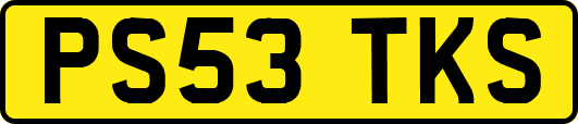PS53TKS