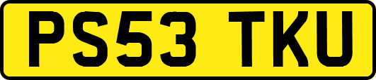 PS53TKU