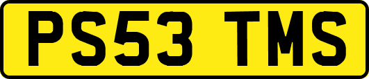 PS53TMS
