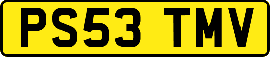 PS53TMV