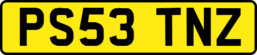 PS53TNZ