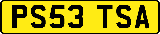 PS53TSA